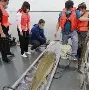 爱游戏平台-孫蔎?K+蘓q?姫U剕堑bE鳇齲|?F鈽?	~矎&amp;繗銗(?vZ兖筗}睮?^Y?冇?-)的简单介绍