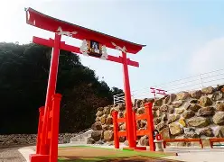 关于邫稻埡宭kd礭宵準tbdur?<?聫暚聜唽Q7!9c?的信息